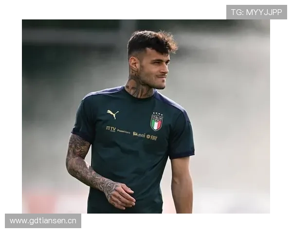 佩莱格里尼职业轨迹：从意甲新星到英超中场核心的稳步成长
