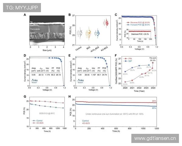 斯蒂芬·卡斯尔突破效率提升明显 助攻率超队内后卫稳定输出