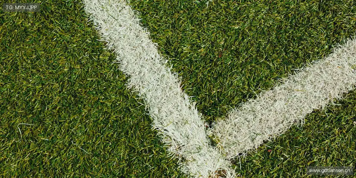 📱实时弹幕，全球球迷在线狂欢！💬